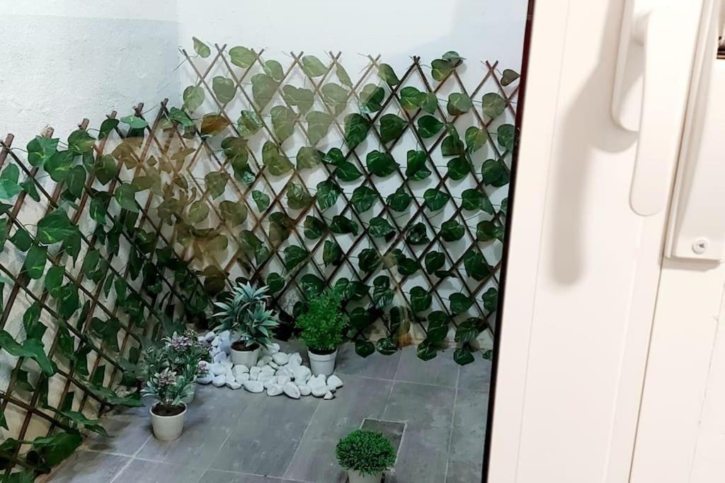 Loft Entero Centro Alicante Dış mekan fotoğraf