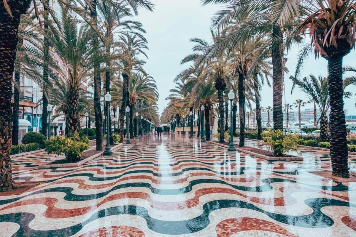 Loft Entero Centro Alicante Dış mekan fotoğraf